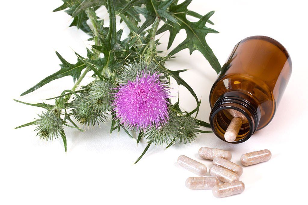 7 Best Milk Thistle Supplement - Reviews & Buyer's Guide