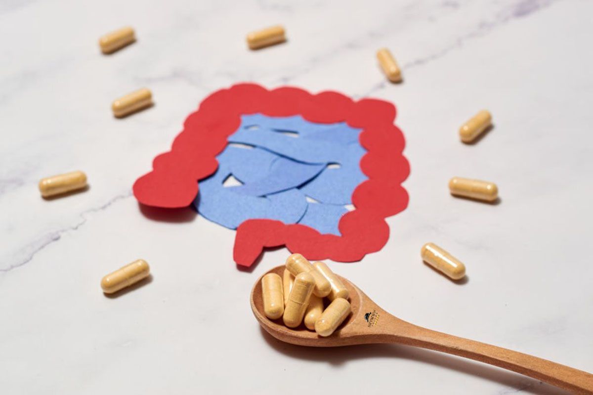 Probiotic Multi Enzyme: Best For Digestion & Boosting Immunity