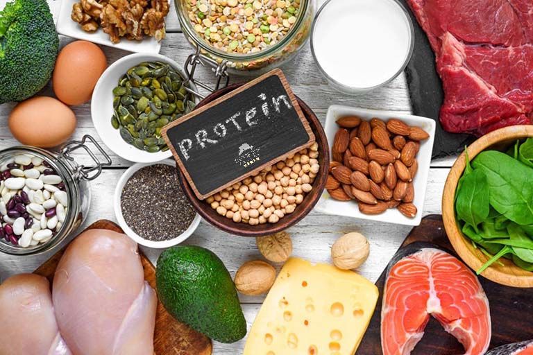 Best Sources of Protein: Fuel Your Health with Top Protein Sources