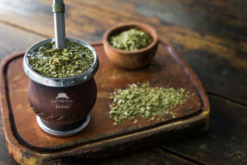 Demystifying The Enigma of Yerba Mate Plant